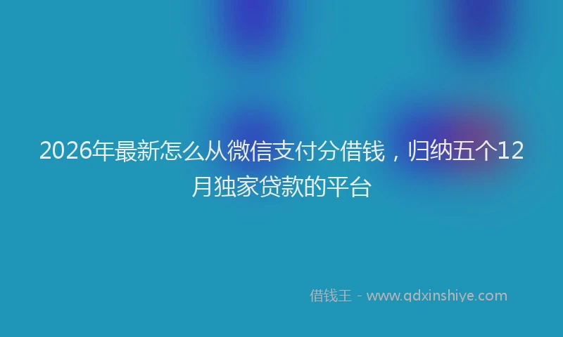 2026年最新怎么从微信支付分借钱，归纳五个12月独家贷款的平台