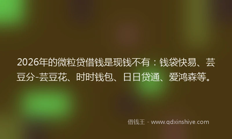 2026年的微粒贷借钱是现钱不有：钱袋快易、芸豆分-芸豆花、时时钱包、日日贷通、爱鸿森等。