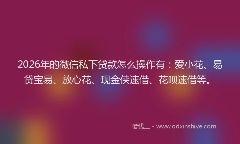 2026年的微信私下贷款怎么操作有：爱小花、易贷宝易、放心花、现金侠速借、花呗速借等。