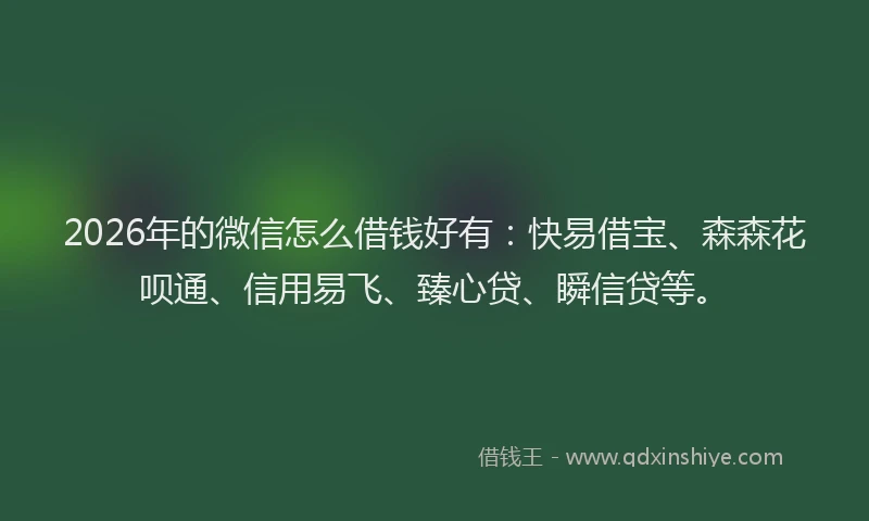 2026年的微信怎么借钱好有：快易借宝、森森花呗通、信用易飞、臻心贷、瞬信贷等。