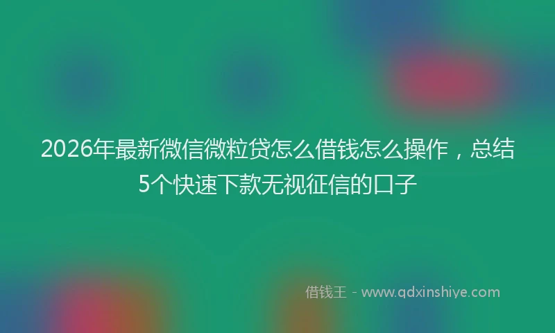 2026年最新微信微粒贷怎么借钱怎么操作，总结5个快速下款无视征信的口子