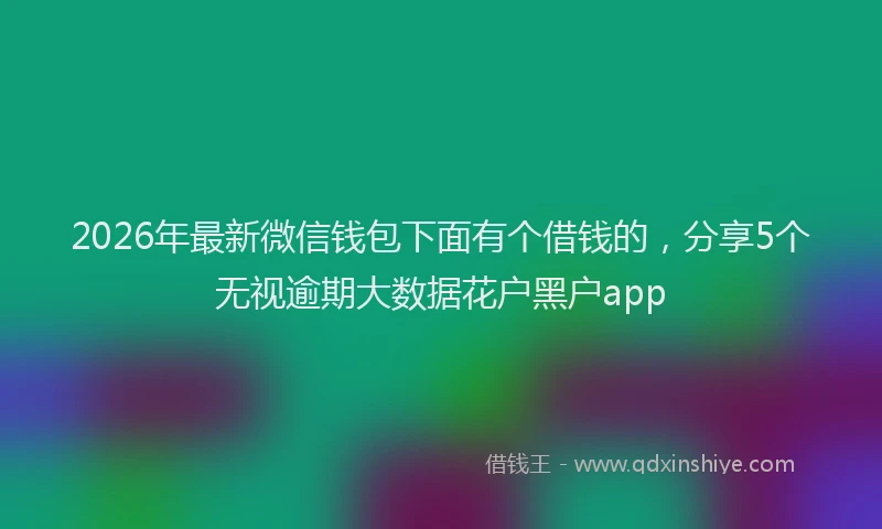 2026年最新微信钱包下面有个借钱的，分享5个无视逾期大数据花户黑户app