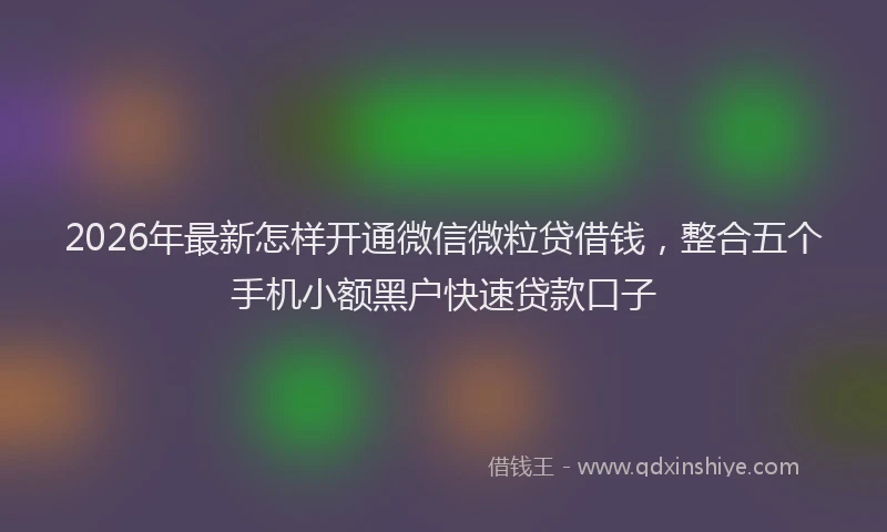 2026年最新怎样开通微信微粒贷借钱，整合五个手机小额黑户快速贷款口子