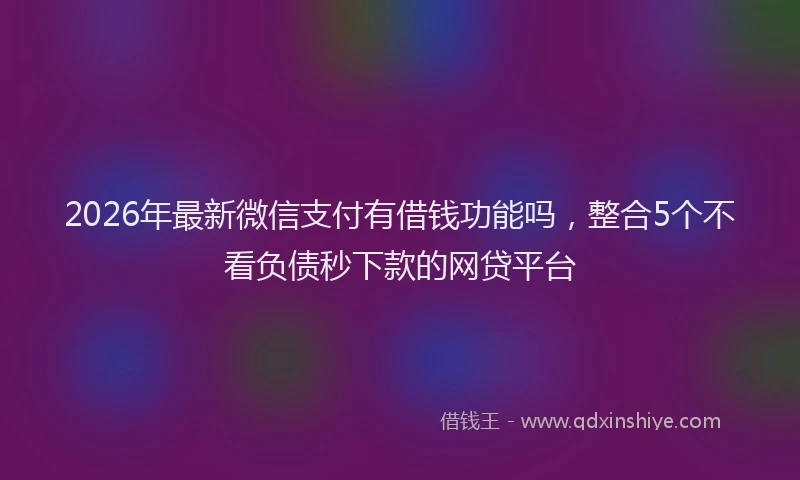 2026年最新微信支付有借钱功能吗，整合5个不看负债秒下款的网贷平台