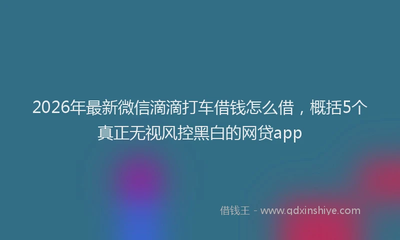2026年最新微信滴滴打车借钱怎么借，概括5个真正无视风控黑白的网贷app