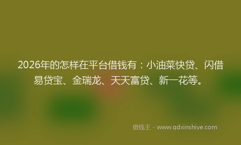 2026年的怎样在平台借钱有：小油菜快贷、闪借易贷宝、金瑞龙、天天富贷、新一花等。