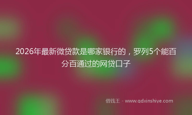 2026年最新微贷款是哪家银行的，罗列5个能百分百通过的网贷口子