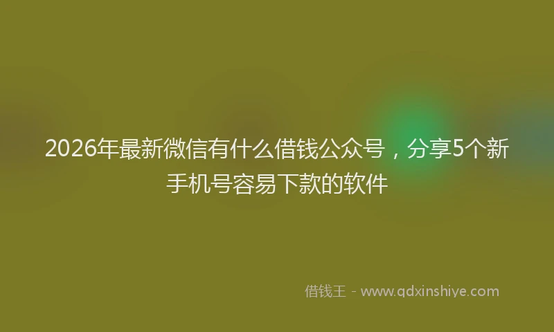 2026年最新微信有什么借钱公众号，分享5个新手机号容易下款的软件