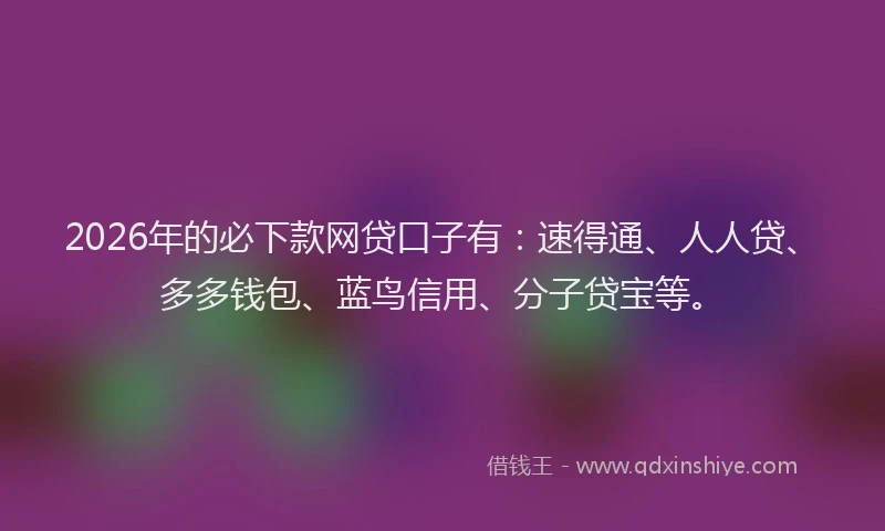 2026年的必下款网贷口子有：速得通、人人贷、多多钱包、蓝鸟信用、分子贷宝等。