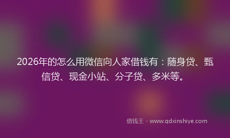 2026年的怎么用微信向人家借钱有：随身贷、甄信贷、现金小站、分子贷、多米等。