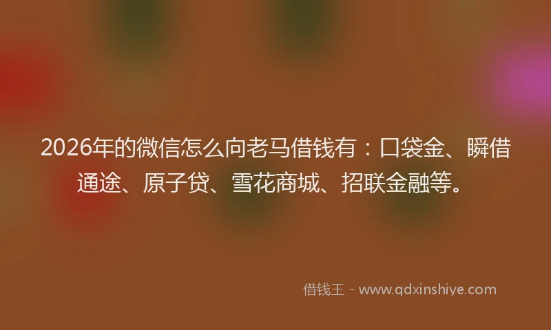 2026年的微信怎么向老马借钱有：口袋金、瞬借通途、原子贷、雪花商城、招联金融等。