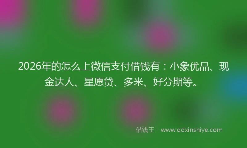 2026年的怎么上微信支付借钱有：小象优品、现金达人、星愿贷、多米、好分期等。