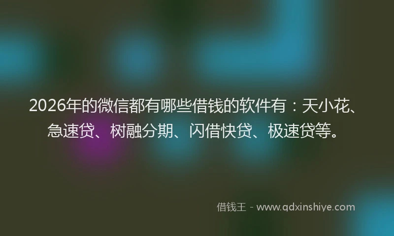 2026年的微信都有哪些借钱的软件有：天小花、急速贷、树融分期、闪借快贷、极速贷等。