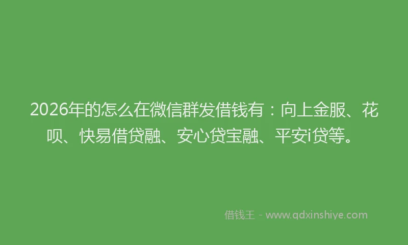 2026年的怎么在微信群发借钱有：向上金服、花呗、快易借贷融、安心贷宝融、平安i贷等。