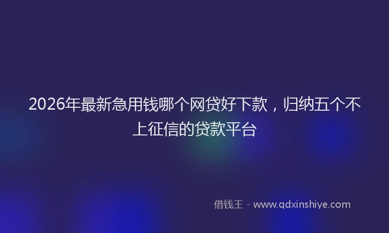 2026年最新急用钱哪个网贷好下款，归纳五个不上征信的贷款平台