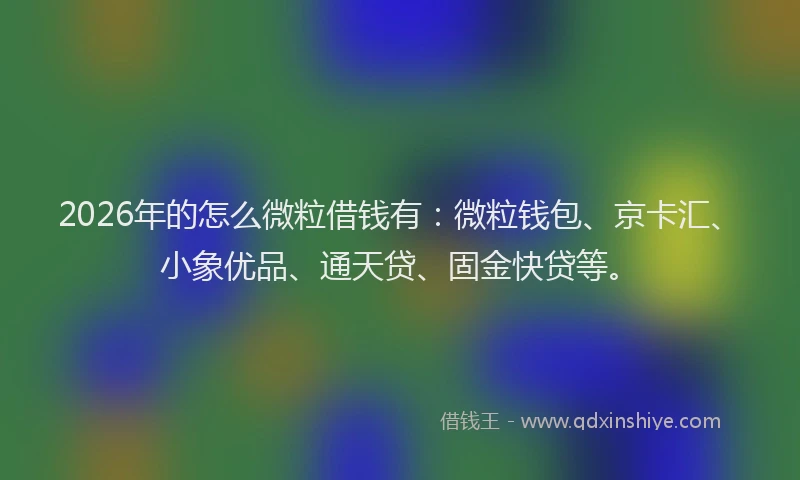 2026年的怎么微粒借钱有：微粒钱包、京卡汇、小象优品、通天贷、固金快贷等。