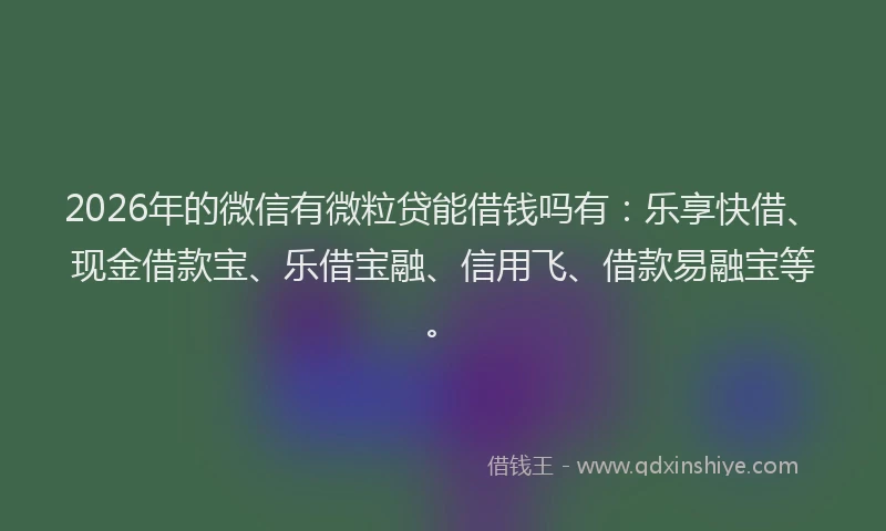 2026年的微信有微粒贷能借钱吗有：乐享快借、现金借款宝、乐借宝融、信用飞、借款易融宝等。