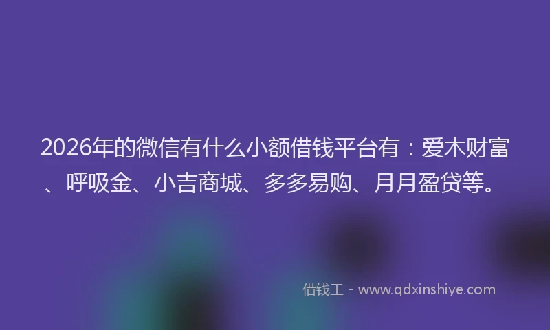 2026年的微信有什么小额借钱平台有：爱木财富、呼吸金、小吉商城、多多易购、月月盈贷等。