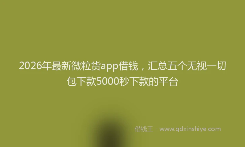 2026年最新微粒货app借钱，汇总五个无视一切包下款5000秒下款的平台