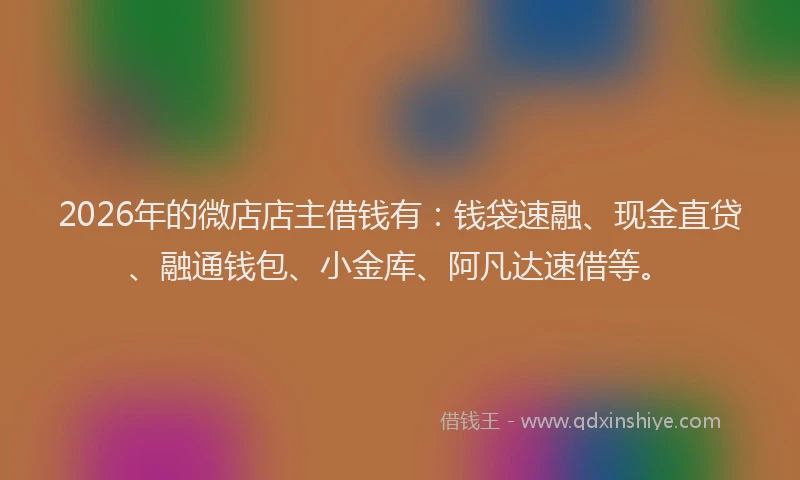 2026年的微店店主借钱有：钱袋速融、现金直贷、融通钱包、小金库、阿凡达速借等。