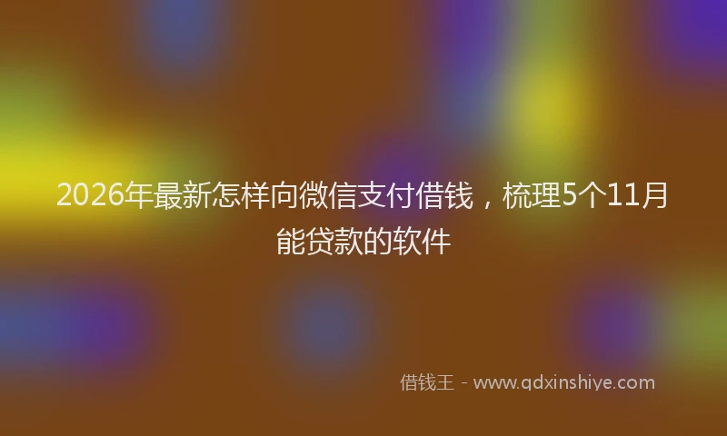 2026年最新怎样向微信支付借钱，梳理5个11月能贷款的软件
