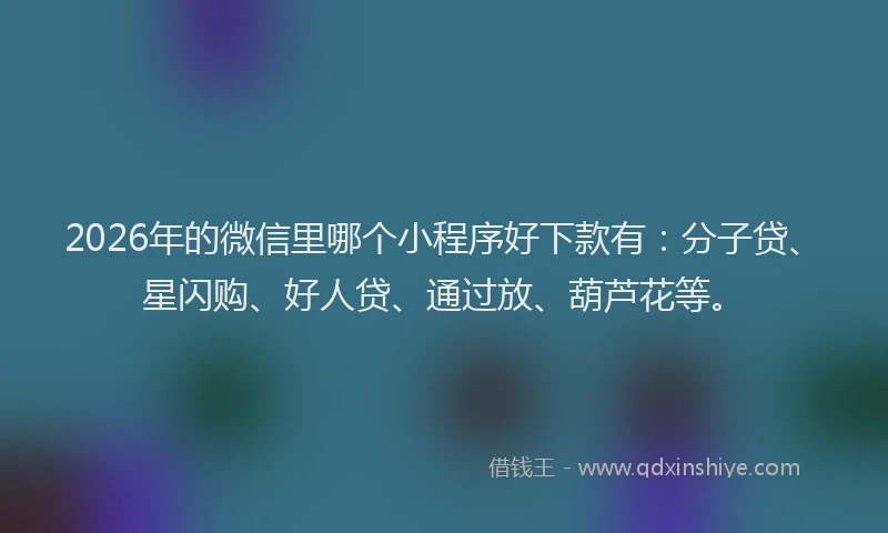 2026年的微信里哪个小程序好下款有：分子贷、星闪购、好人贷、通过放、葫芦花等。