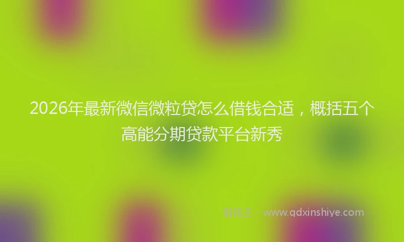 2026年最新微信微粒贷怎么借钱合适，概括五个高能分期贷款平台新秀