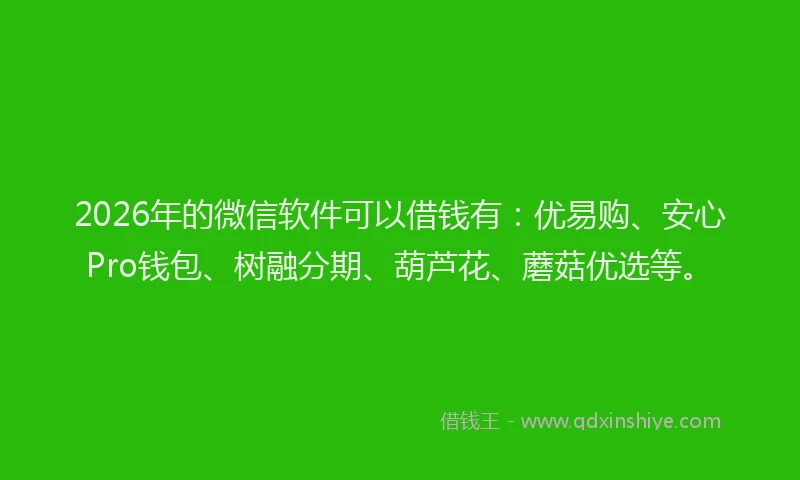 2026年的微信软件可以借钱有：优易购、安心Pro钱包、树融分期、葫芦花、蘑菇优选等。