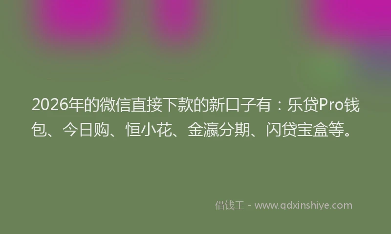 2026年的微信直接下款的新口子有：乐贷Pro钱包、今日购、恒小花、金瀛分期、闪贷宝盒等。