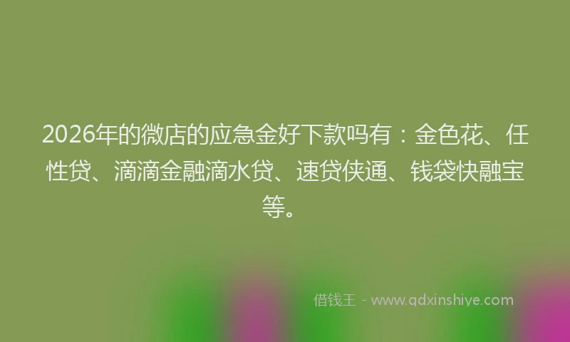 2026年的微店的应急金好下款吗有：金色花、任性贷、滴滴金融滴水贷、速贷侠通、钱袋快融宝等。