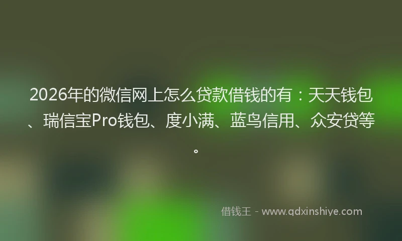 2026年的微信网上怎么贷款借钱的有：天天钱包、瑞信宝Pro钱包、度小满、蓝鸟信用、众安贷等。