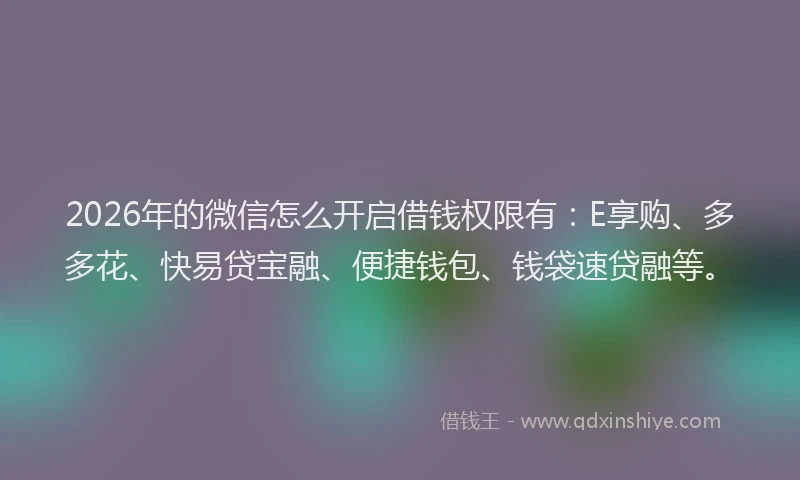 2026年的微信怎么开启借钱权限有：E享购、多多花、快易贷宝融、便捷钱包、钱袋速贷融等。