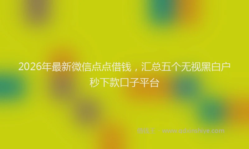2026年最新微信点点借钱，汇总五个无视黑白户秒下款口子平台