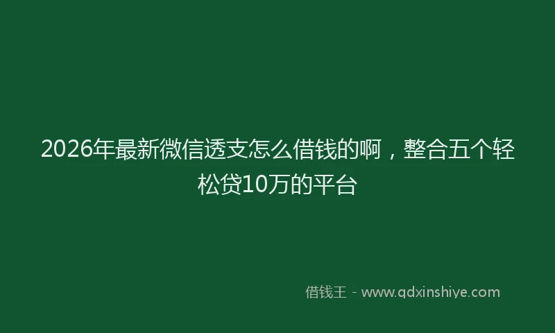 2026年最新微信透支怎么借钱的啊，整合五个轻松贷10万的平台