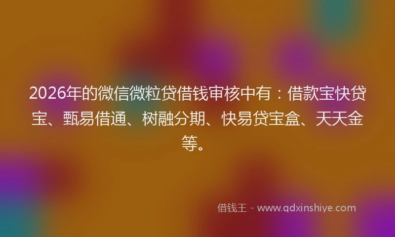 2026年的微信微粒贷借钱审核中有：借款宝快贷宝、甄易借通、树融分期、快易贷宝盒、天天金等。