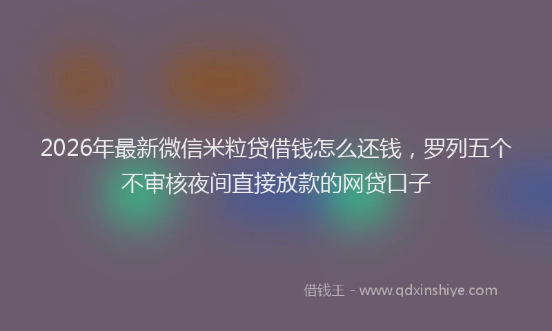 2026年最新微信米粒贷借钱怎么还钱，罗列五个不审核夜间直接放款的网贷口子
