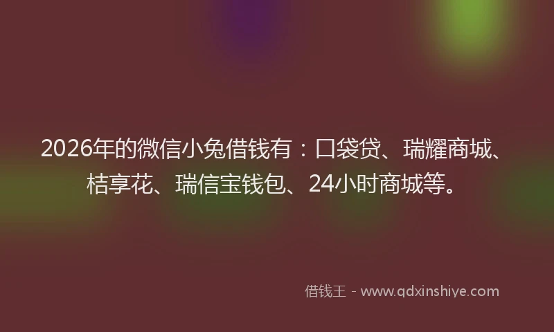 2026年的微信小兔借钱有：口袋贷、瑞耀商城、桔享花、瑞信宝钱包、24小时商城等。