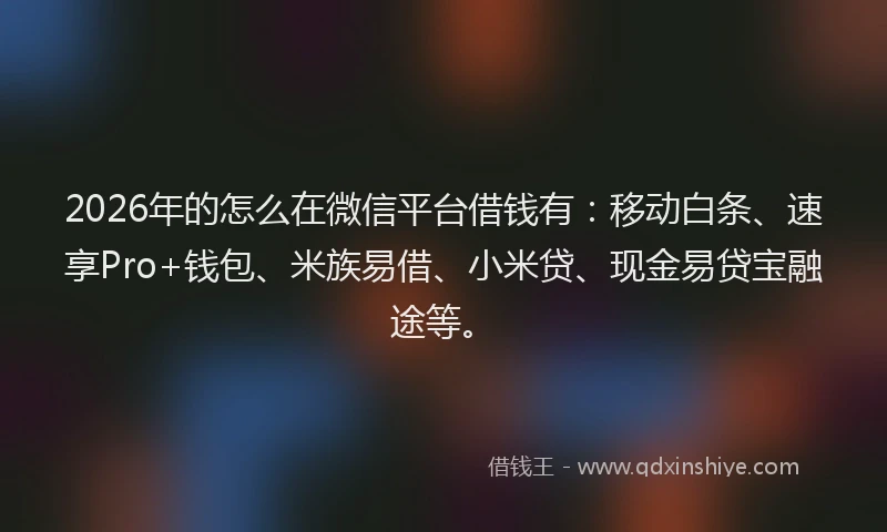 2026年的怎么在微信平台借钱有:移动白条、速享Pro+钱包、米族易借、小米贷、现金易贷宝融途等。