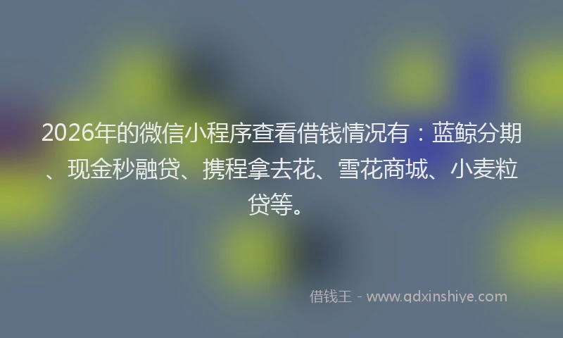 2026年的微信小程序查看借钱情况有：蓝鲸分期、现金秒融贷、携程拿去花、雪花商城、小麦粒贷等。