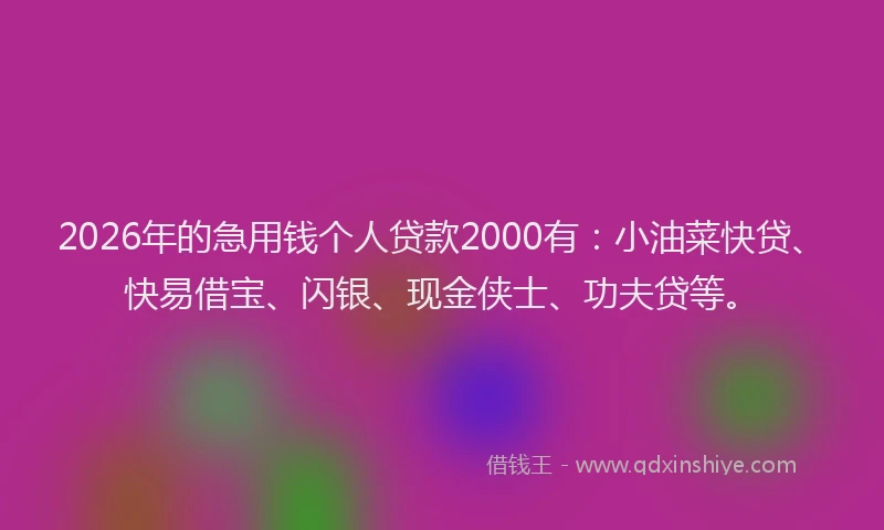 2026年的急用钱个人贷款2000有：小油菜快贷、快易借宝、闪银、现金侠士、功夫贷等。