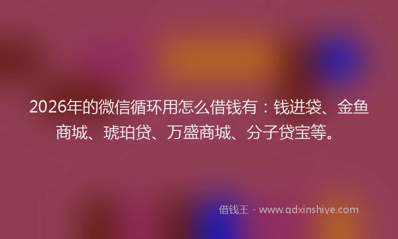 2026年的微信循环用怎么借钱有：钱进袋、金鱼商城、琥珀贷、万盛商城、分子贷宝等。