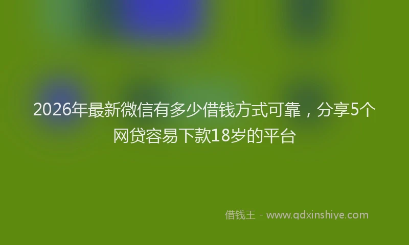 2026年最新微信有多少借钱方式可靠，分享5个网贷容易下款18岁的平台