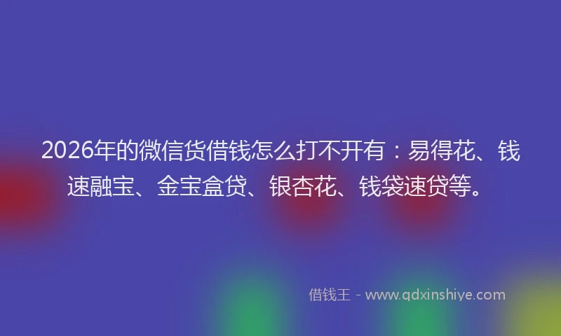 2026年的微信货借钱怎么打不开有：易得花、钱速融宝、金宝盒贷、银杏花、钱袋速贷等。