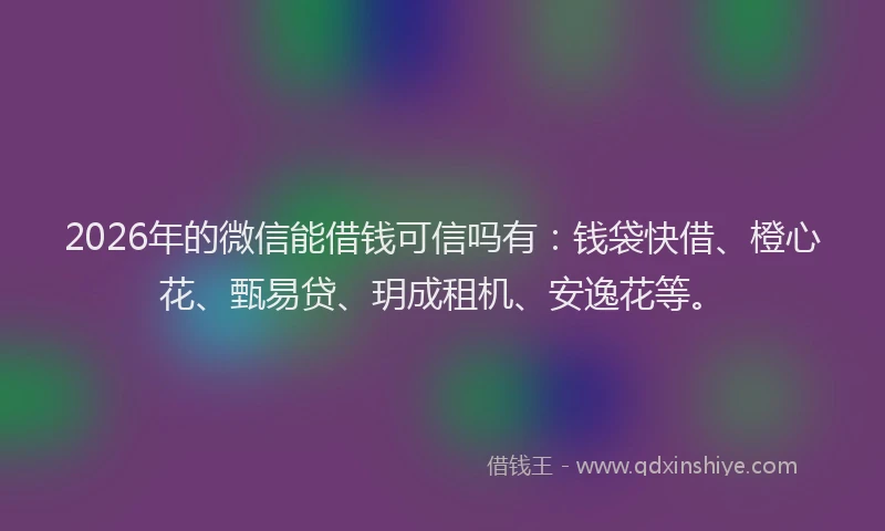 2026年的微信能借钱可信吗有：钱袋快借、橙心花、甄易贷、玥成租机、安逸花等。