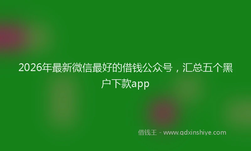 2026年最新微信最好的借钱公众号，汇总五个黑户下款app