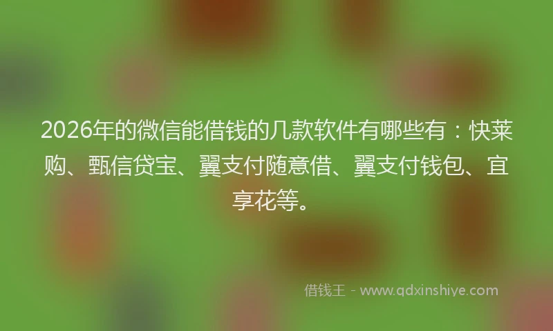 2026年的微信能借钱的几款软件有哪些有：快莱购、甄信贷宝、翼支付随意借、翼支付钱包、宜享花等。