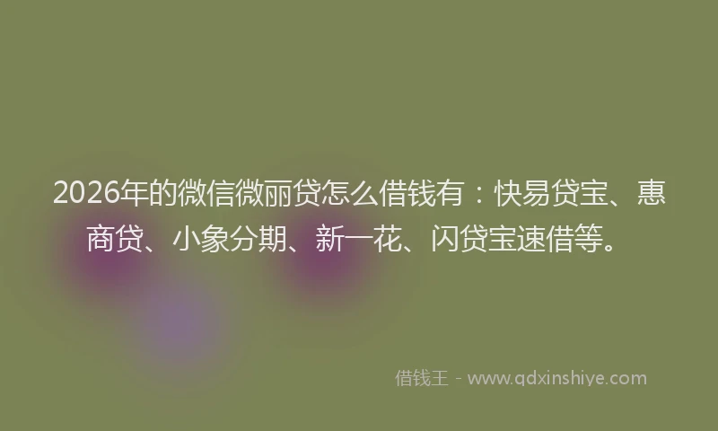 2026年的微信微丽贷怎么借钱有：快易贷宝、惠商贷、小象分期、新一花、闪贷宝速借等。