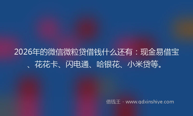 2026年的微信微粒贷借钱什么还有：现金易借宝、花花卡、闪电通、哈银花、小米贷等。