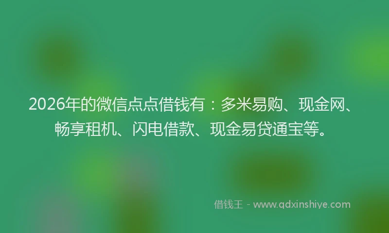 2026年的微信点点借钱有：多米易购、现金网、畅享租机、闪电借款、现金易贷通宝等。