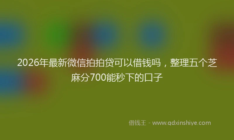 2026年最新微信拍拍贷可以借钱吗，整理五个芝麻分700能秒下的口子
